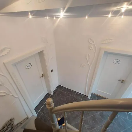 Residenz Seestern, Seerobbe